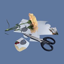 �R���N����ճģ���R���NС�t���ֹ��R�ӿɲü�֧��ܛ�����R��