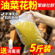 养蜂茶花杂粉喂蜂蜜蜂饲料茶叶花粉天然蜂用花粉养蜂蜂粮包邮