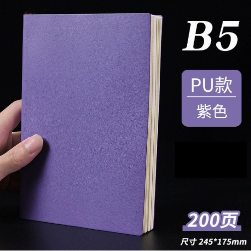 B5 보라색(사진 100장, 200페이지)