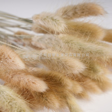 ���ɻ���β�ݡ�60֧��β�ݹ�β�Ͳ݁��R�d�羳�ɻ�diy�Y�����