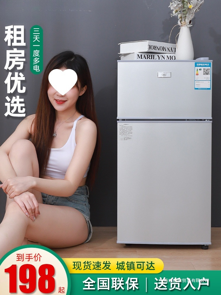 Dormitory Freezer Rental Room Refrigerated Energy-Saving Double-Door Refrigerator Mini Small Refrigerator Household Small