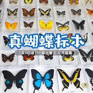 �����˱��[���ֹ����x�˱��b�Ʒչ��������˱��W���������նY��