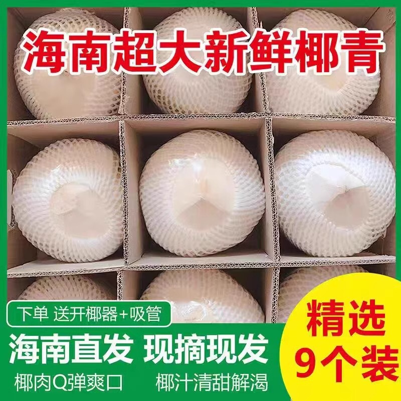 Hainan Fresh Coconut Wholesale Can Be Shipped in One Piece, 9 Coconut Meat Balls with Open Lids, 4 Coconut Openers, Origin Fruit Hainan Fresh Coconut Wholesale Can Be Shipped in One Piece, 9 Coconut Meat Balls with Open Lids, 4 Coconut Openers, Origin Fruit