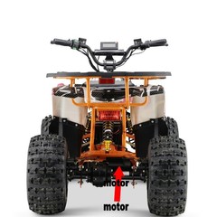 热销中的电动沙滩车战神350 500 800 1000 1200 1500 18