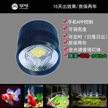 ȫ���VLEDֲ�����L�����^ˮꑸ�ԭ���BϪ���ױ����m�۽��~���G