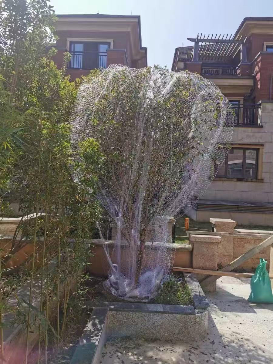 微信图片_20250410142840