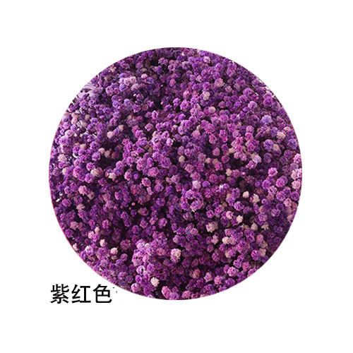 ネイルアートの乾いた花の永遠の命の満天の星の花束は顔の化粧の爪のアクセサリーの光を貼ることができます。|undefined