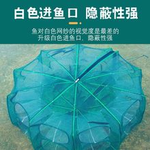 新款折叠鱼笼虾笼鱼网捕虾网螃蟹渔网笼捕鱼网泥鳅笼黄鳝笼龙虾网