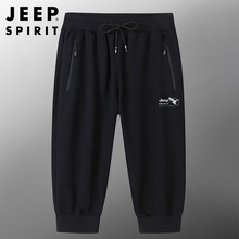 JEEP SPIRITļ¿ѝeaɫӡ͸5ѝ6169