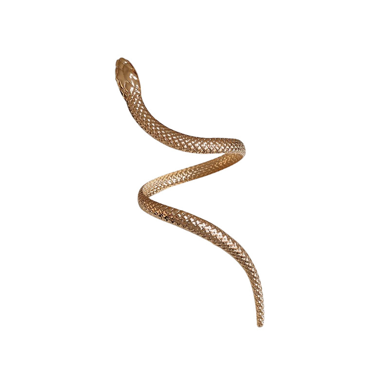 Conjunto de anillo de pulsera de serpiente transfronteriza europea y americana, pulsera exagerada de nicho, moda personalizada, joyería de alta gama al por mayor femenina