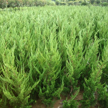 ���ؘ�������������С��������С�����繤��������ؘ�G�h������