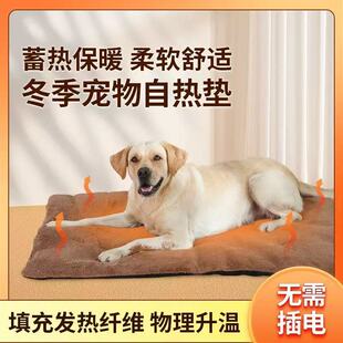 �羳����늟�̺����늼ӟ�|؈�乷���԰l������؈�C����ȡů���l