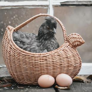 ���W�L�پ��ռ{���߲˲�ժ�@��ˮ���@�ֹ������ռ{�@�پ�����@