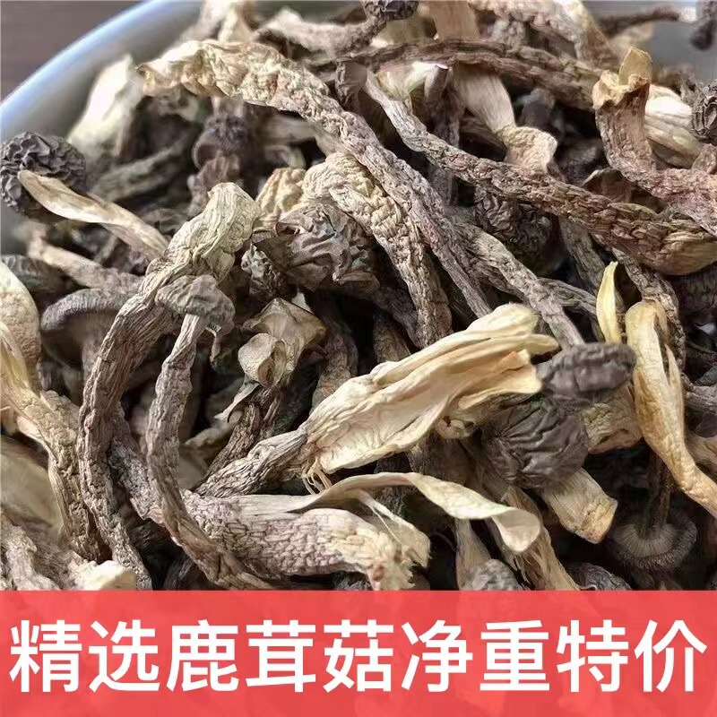 【无干燥剂】鹿茸菇干货新鲜特产鹿耳菇香菇菌菇虫煲汤炒菜|undefined