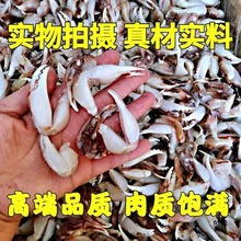 зQr_绨СԾƵʳl羳Sl