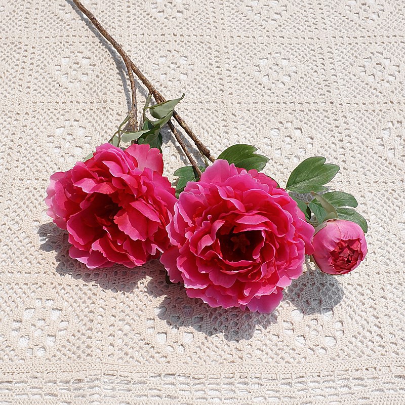 Rose red