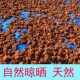 Turkey black dried apricot preserved apricot meat coreless one-piece delivery sulfur-free natural dried fruit specialty wholesale price dried fruit