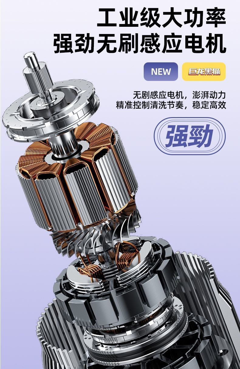 Julong Black Cat High-Pressure Car Washer 220V Household Cleaning Machine High-Power Farm Washing and Car Washing Pump