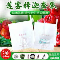 Сумка для сакуры, лотоса, драконьего фрукта, ананаса, папайи, саба, манго, водонепроницаемая упаковка, защита от насекомых, сумка для фруктов, сумка