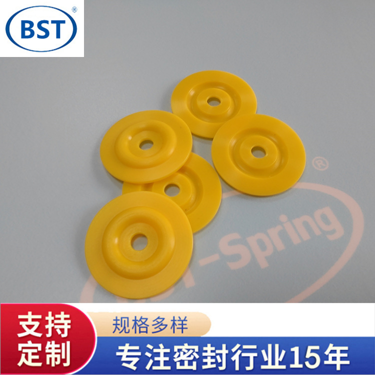 PTFE隔膜垫米顿罗计量泵膜片机械隔膜片四氟垫片