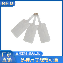 ӡˢrfid錚˺lrfidӘ˺ 錚˺