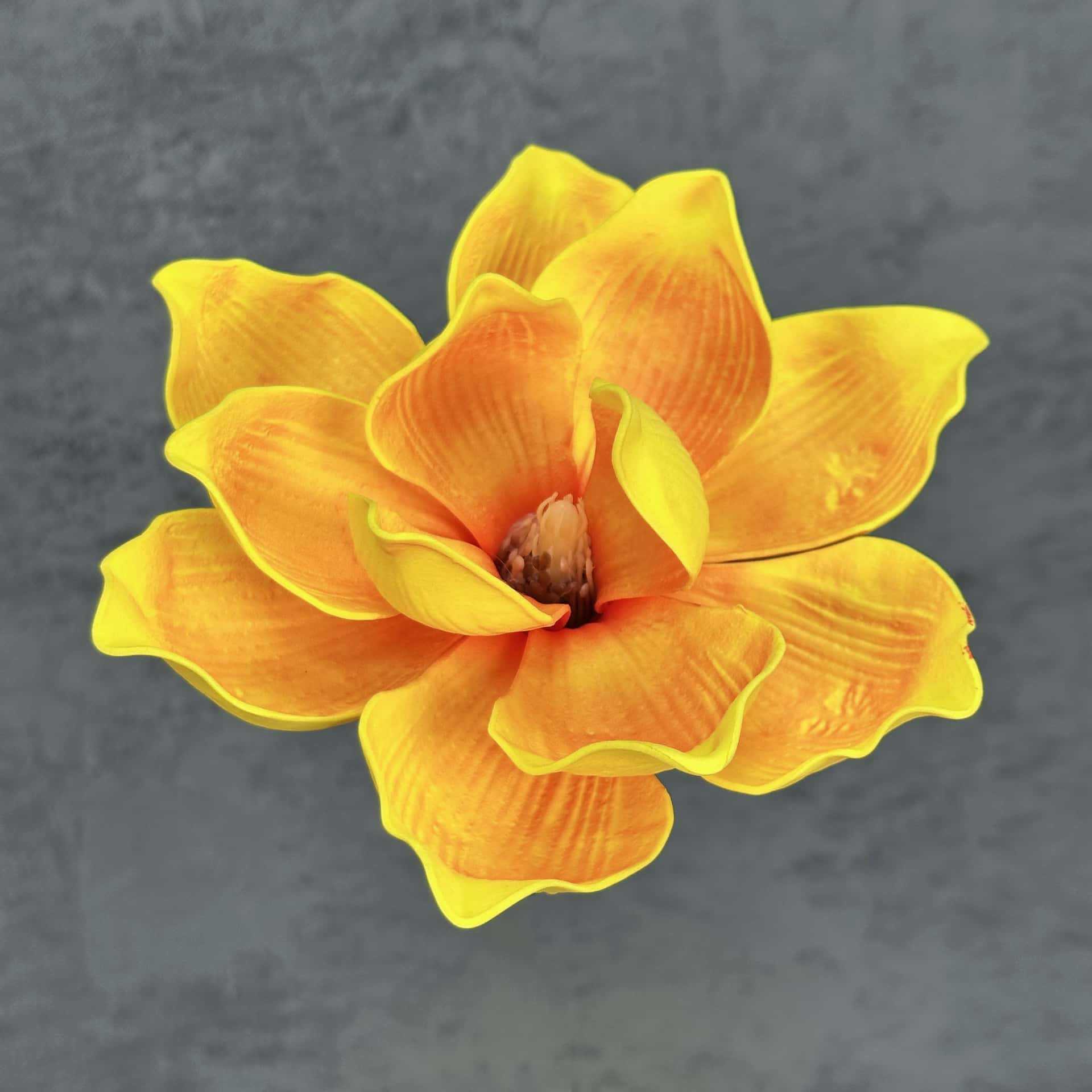 Flor de simulación transfronteriza EVA cabeza de magnolia 13cm tacto tocado kapok decoración decoración decoración flor falsa al por mayor