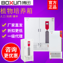 ϺѸBSG-250̿عBֲNNԇaB