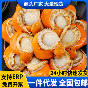 ��ؐ�⎧�S��̖���r�F�����ȥ��Ұ�����ط۽z��ؐ���rˮ�a ����