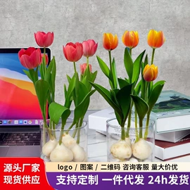 盆栽;园林果树;种子