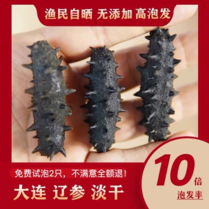 [淡干海参辽参刺参大连速发泡发非即食小海生非野生鲜礼盒送礼包邮]