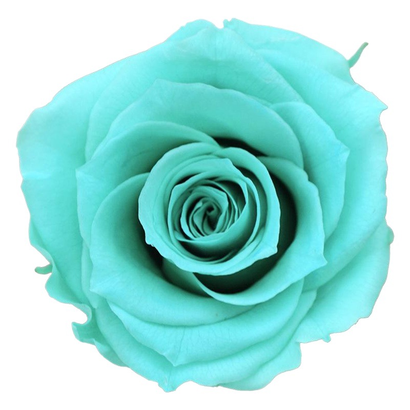 Una flor eterna flor rosa 4-5cm flor seca flor real Yunnan al por mayor Día de la Madre 520 regalo de bricolaje Día de San Valentín