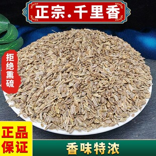 ǧ������ș���{�Ͼ�����������P�}�ѻ���u�����������{ζ���{��
