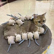 肥奥娜猫薄荷小老鼠解闷含铃铛逗猫花枝仿真玩具爆款逗猫神器其他