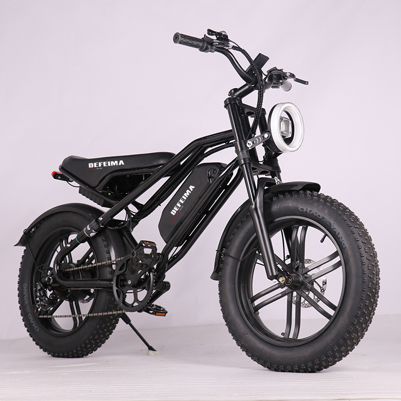 electric bike