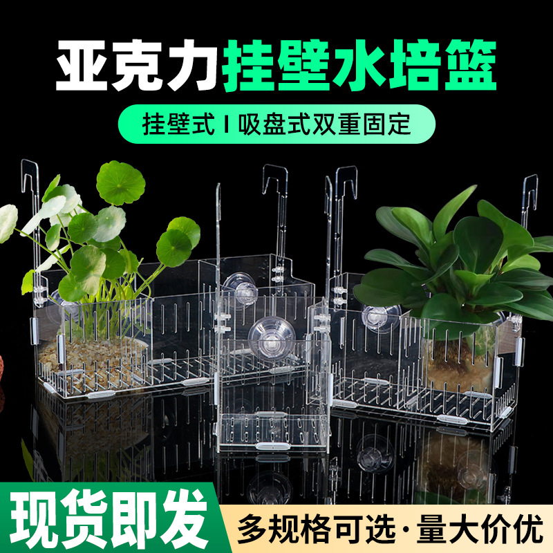 透明亚克力鱼缸水培植物固定架壁挂水培器皿定植篮悬挂花盆种植盒