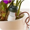 Flower potted automatic waterwater waterwater drip irrigation device 2 creative gardening tools