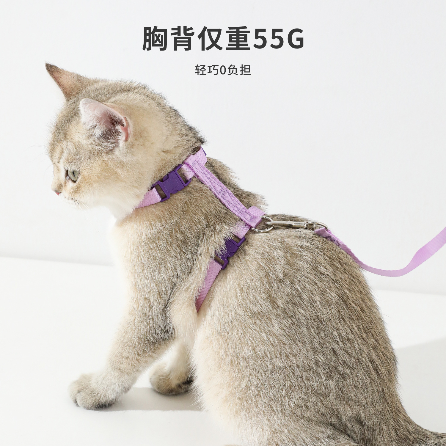 Correa de gato en forma de I transfronteriza cuerda de perro pequeña cuerda de gato cuerda plana de nylon correa de cuerda de gato ajustable