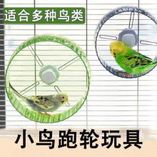 虎皮鹦鹉旋转跑轮跑步机益智转轮玩具牡丹鸟趣味解闷小鸟鹦鹉跑轮