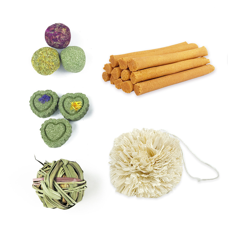 Pet molars snack set vegetariano 13 piezas conejo conejillo de indias molars dieta pet snack al por mayor