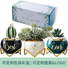 跨境多肉花盆套装小号铁架亚马逊可印logo电镀金边圆球陶瓷小花盆