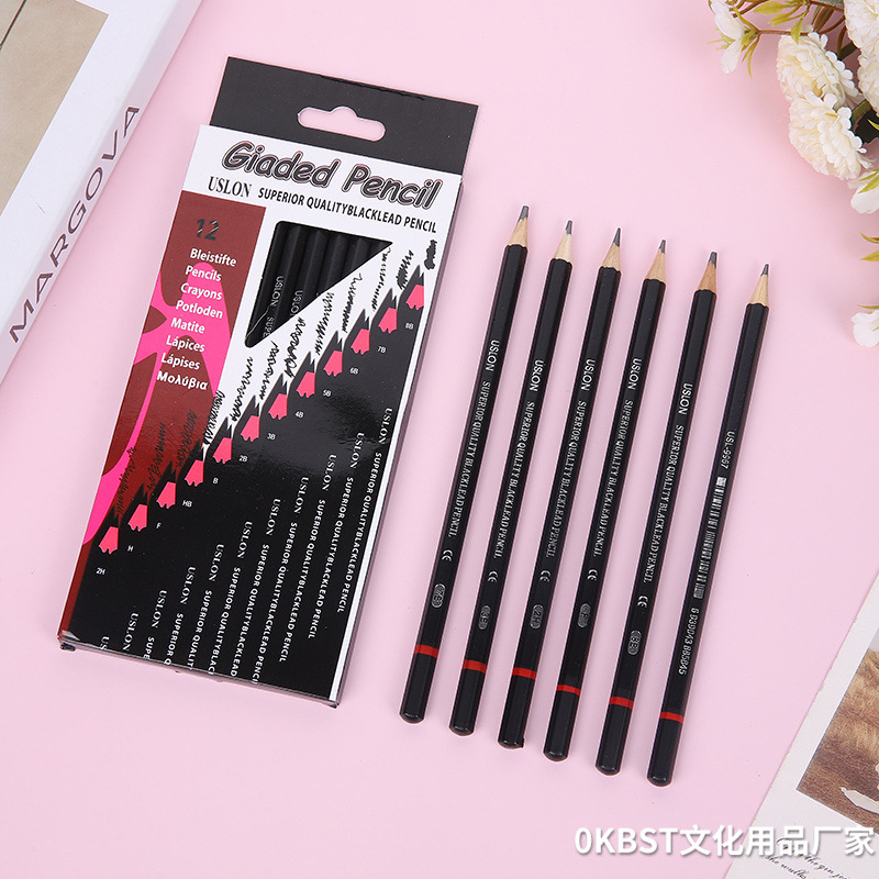 12 piezas en caja 2H-8B dibujo arte lápiz Profesional bosquejo pluma traje de dibujos animados papelería traje