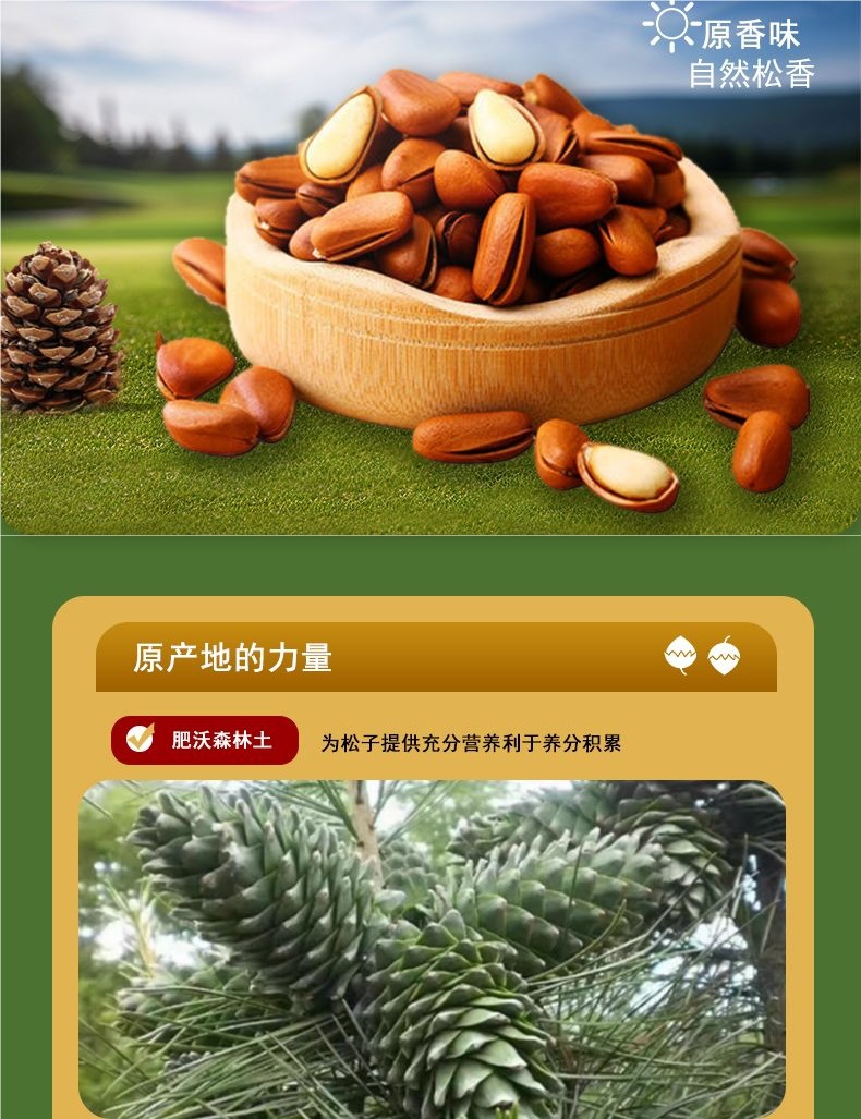 25年新货东北红松子特大颗粒袋装净含量500g东北松子原味松子工厂-阿里巴巴