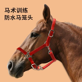 狗狗牵引;宠物项圈;宠物周边用品