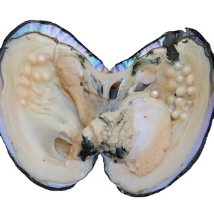 ��������������Bؐ�Ӱ��߮a�F���ӹ�DIY�ʘ�ֱ�����ξ��^�_��