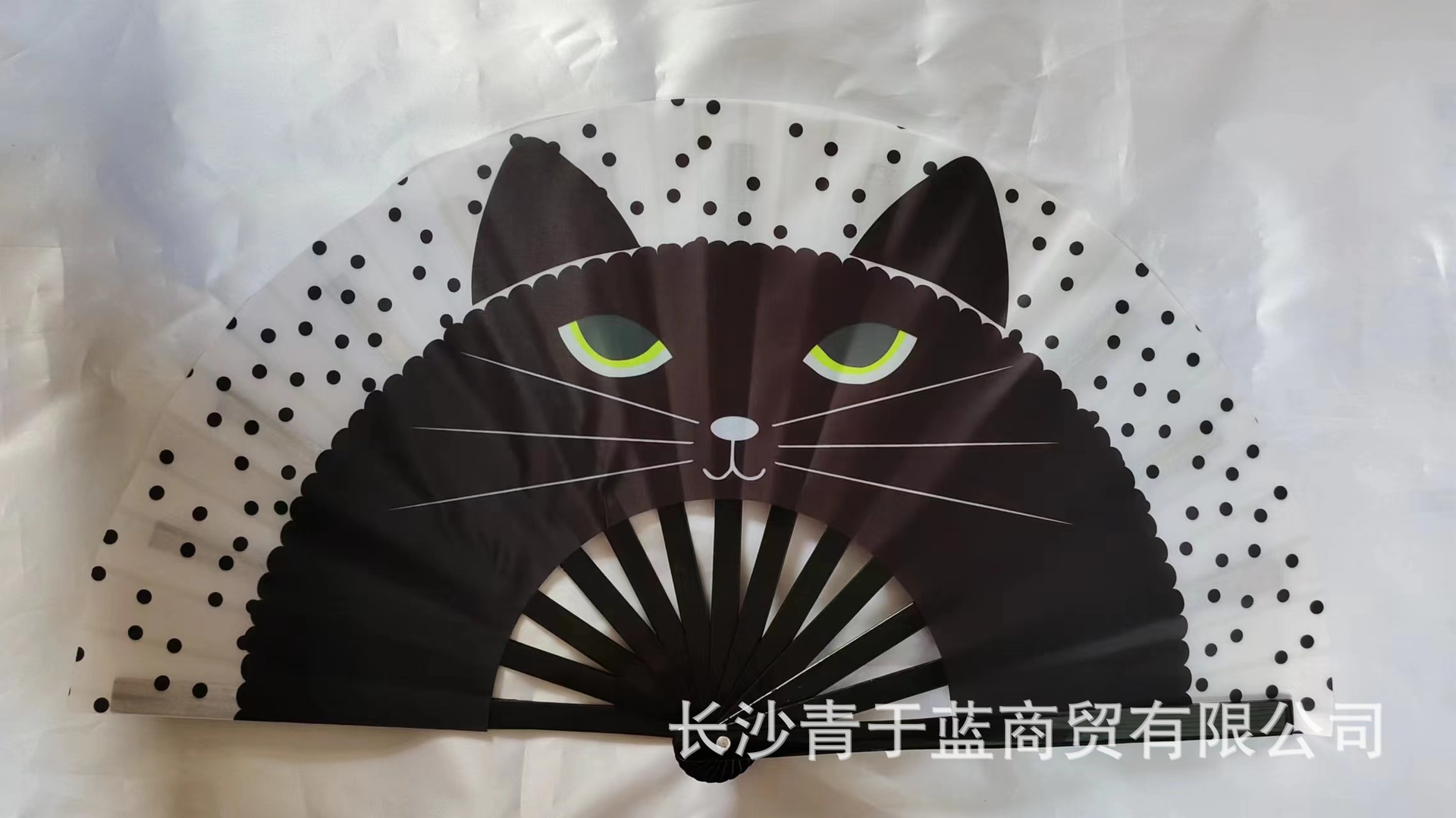 3龙猫.jpg