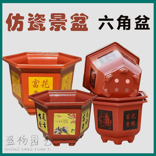 ���������辰�����ͥ�@ˇ�����Ի�����طNֲ�Ӻ�´ɲ�ɫӡ��