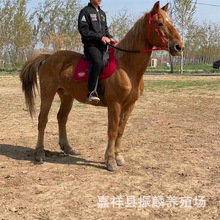 ������Ѫ�R �°��RС���ᭇ �����T���R�r�� �B�R�����U�R�x