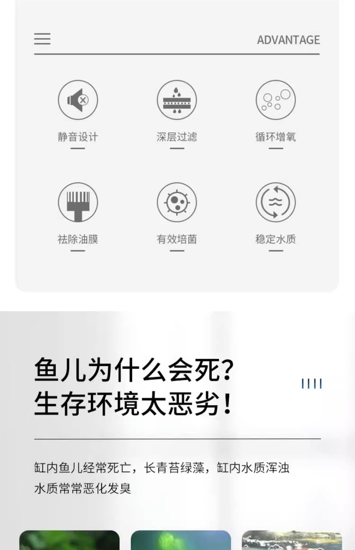 Details picture_03