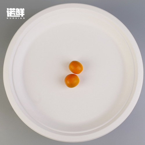 Disposable paper plate kindergarten handmade DIY painting cake barbecue dinner plate paper plate large paper plate 12 inches