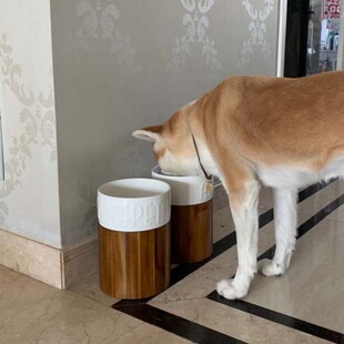 ���蹷��؈�빷���󹷼Z�댙���մ�ʳˮ�����Ȯʳ������o�i